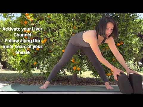 Teacher Training Bundle - Teton Yoga Shala
